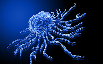 stem cell
